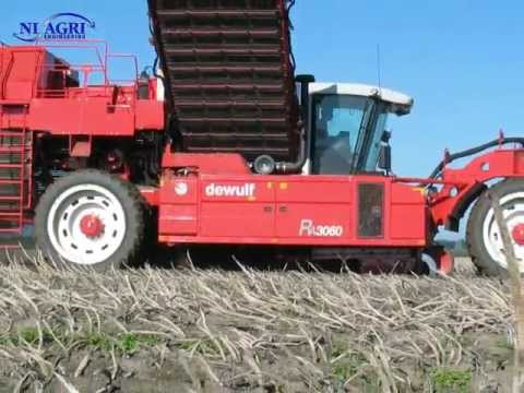 Dewulf RA3060 potato harvester