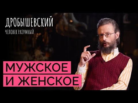 Как выглядят половые различия у обезьян и предков человека? // Дробышевский. Человек разумный