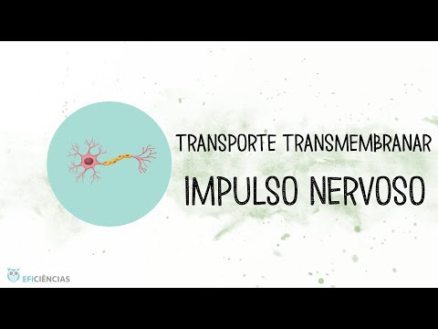Transporte transmembranar - Transmissão do impulso nervoso - Biologia e Geologia 10ºano