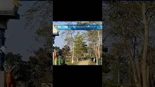 Download lagu PENYEBAB IKAN CHANNA BARCA MAHAL #channabarca#channamaru #channaauranti mp3