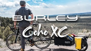 burley design coho xc