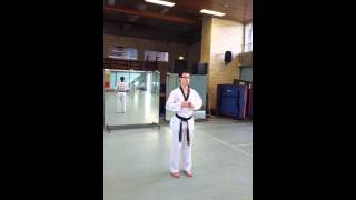 Download lagu Chon ji pattern (white belt) mp3