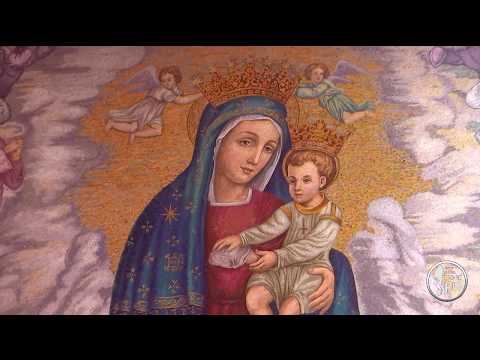 Santa Messa 31 Gennaio 2020