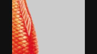 04. Live - The beauty of gray (SFX Radio Network concert broadcast 2000)