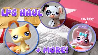 a very nostalgic rare LPS haul
