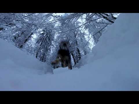 MÁRAMAROS - KŐHÁT