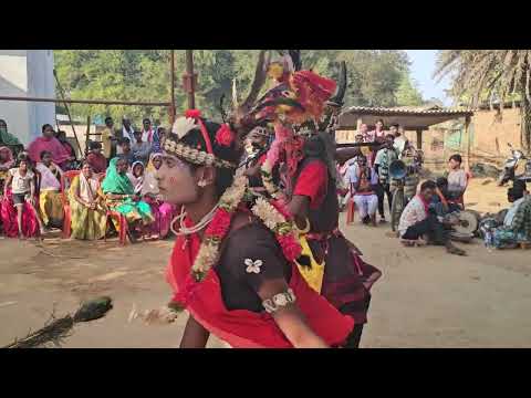 Madhiya Nat // Bastar Ki Anokha Parmpara//kriyakarm Baniyagaon// 
