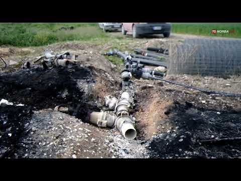 Andria, allarme criminalità nelle campagne