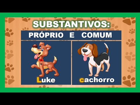 Substantivos Próprios e Comuns | Videoaula