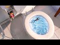A Rat Down The Toilet Flushed Away CLIP