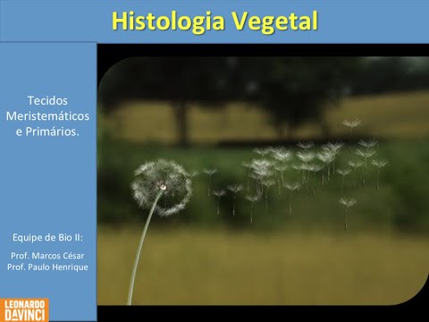 Aula Gravada - Histologia Vegetal Parte 1 - Tecidos Meristemáticos e Primários 2020.