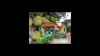 ভূমি সেবা সপ্তাহ - ২০২৪ এর উদ্বোধন ও পালন।