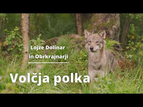 Obrkrainarji - Volčja Polka