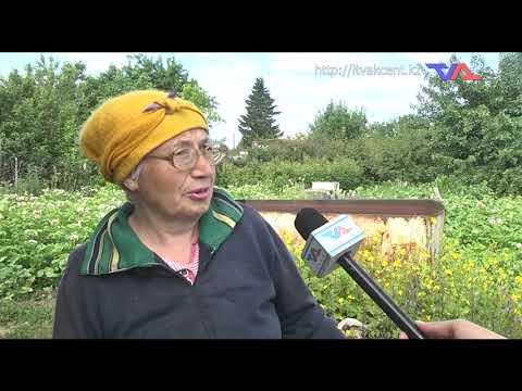 Выпуск программы “День” от 1 июля 2022г.