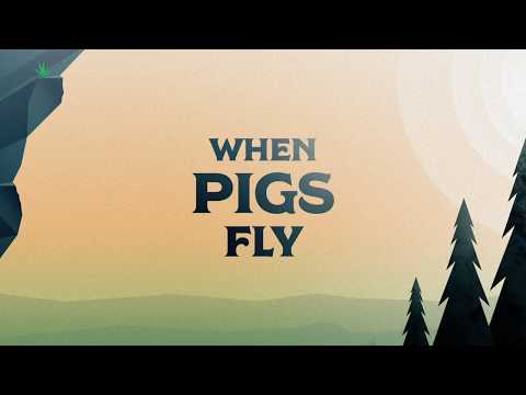 When Pigs Fly - series promo