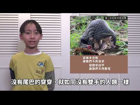 國小高年級中文組季軍 -2025六福永續獎: 最佳人氣影片