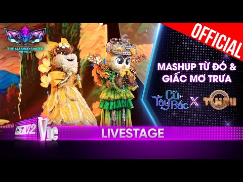 Mashup Từ Đó và Giấc Mơ Trưa - Cú Tây Bắc ft.Tí Nâu | The Masked Singer Vietnam 2023 [LiveStage]