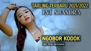 Download lagu NGOBOR KODOK - EVI SHANDRA / Cipt. Amin hermawan - TARLING TERBARU 2021/2022 mp3