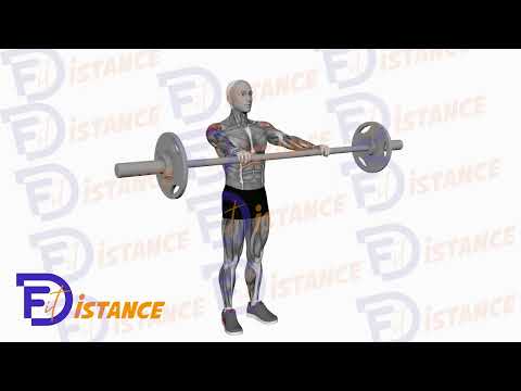 Exercice Élévations frontales à la barre