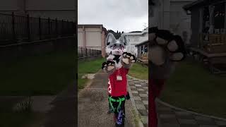 追いかけちゃう！