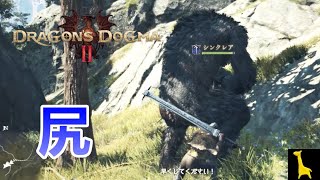 【ドラゴンズドグマ2】実況#5 巨大ゴリラの尻を大剣で割る Dragon's Dogma 2 PC Steam