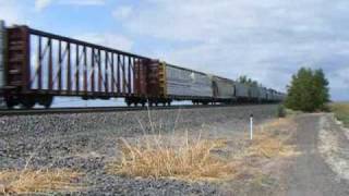 preview picture of video 'UP 5971 with Northbound Redding Turn at Richvale, California'