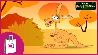 I'm a Kangaroo