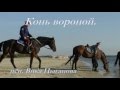 "Конь вороной" исп. Вика Цыганова 