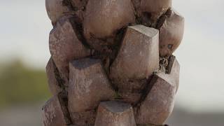 8K Scanned Tree Texture Pack video thumbnail