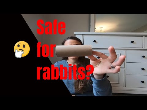 Are cardboard toilet paper rolls safe for rabbits?