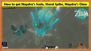 How to get Naydras Claw - Scale and Shards in Zelda Tears of the Kingdom