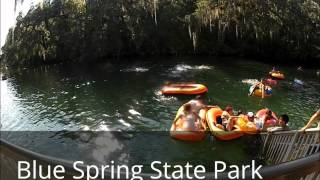 preview picture of video 'Blue Spring State Park, Orange City, Florida, USA'
