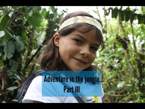 Adventure in the ecuadorian jungle - Part III 🌏 Miriam & Eva on the road