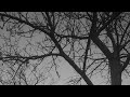 NEW Song Koi Bhi Nahi Slow Releaf Lofi Songs Trending Songs
