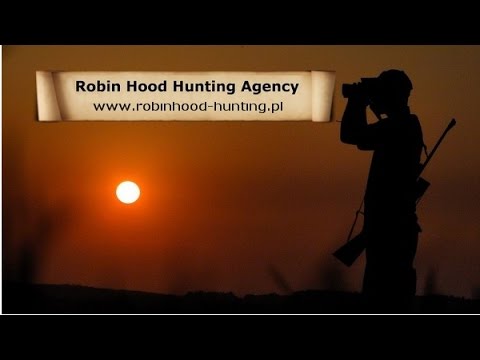 Hunting in Poland with Robin Hood Hunting Agency - Jagd in Polen mit Robin Hood Jagdbüro