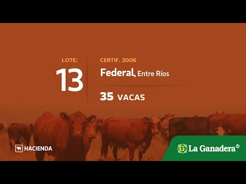 Lote Vacas en Federal