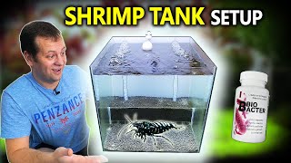 New Shrimp Tank Setup for Caridina with QualDrop products
