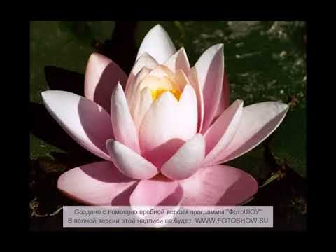 Snatam Kaur - So Mai Visar Na Jaa-ee