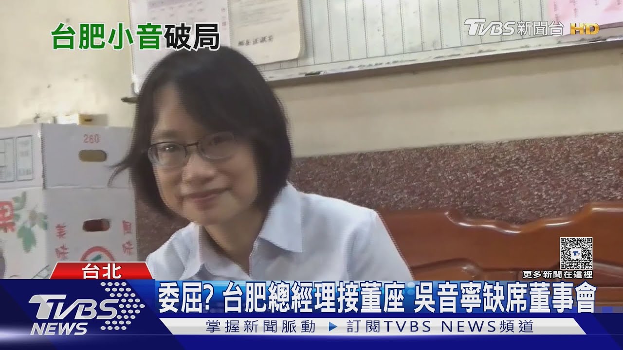 台肥董座落馬任董事　吳音寧：政治口水是一時