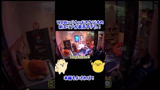 没入感凄すぎ！フロリダディズニーのハリウッドスタジオの新施設が最高すぎた.【ウォルト・ディズニー・ワールド／WDW】