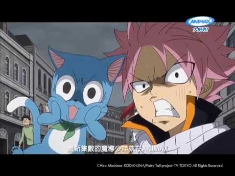 ANIMAX 《魔導少年》聲演釘宮理惠專訪