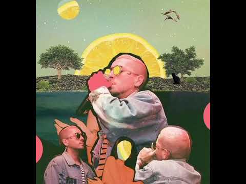 Ceaese  - adelanto 2020