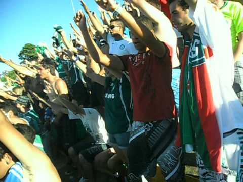 DALHE PORCO DALHE PORCO