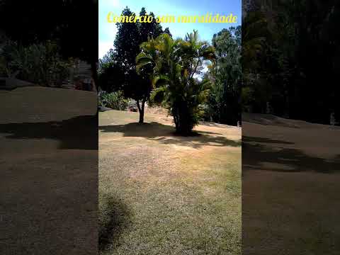 você conhece os 7 pecados sociais?  #reflection #motivacao #discernment #sabedoria #orientacao