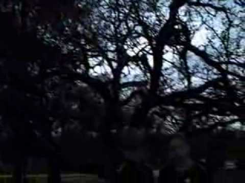 Star Trek Starfleet Marines Episode 1.1