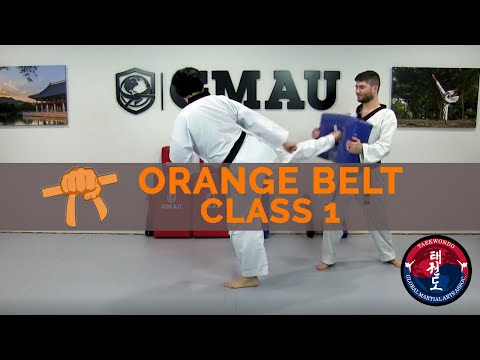 Taekwondo - Orange Belt Follow Along - Class 1