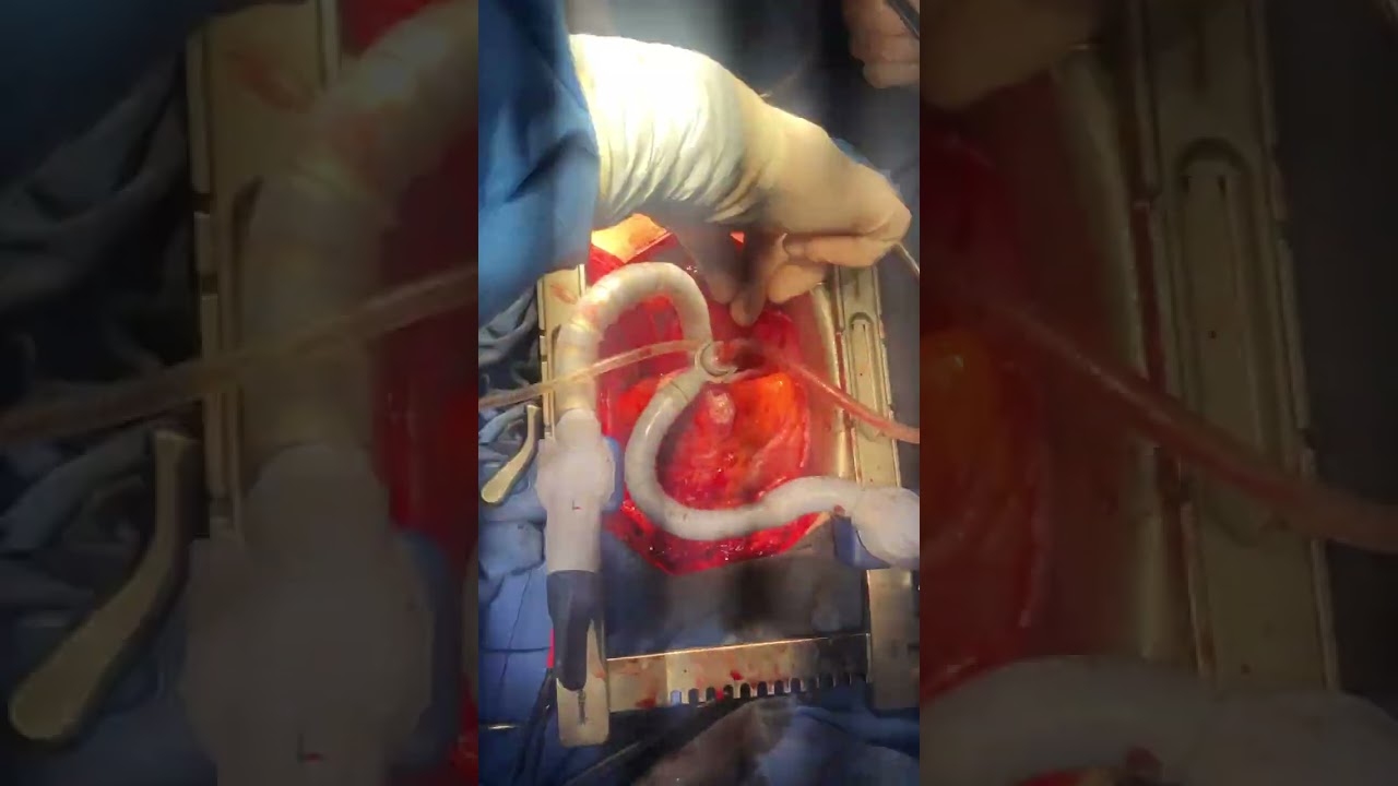 Victor Manuel Carmona Delgado-43