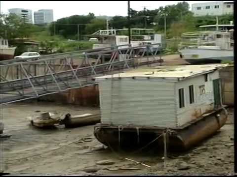 70 (1994) De wereld van Boudewijn Büch - Darwin