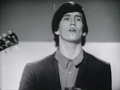 NEW * Game Of Love - Wayne Fontana & The Mindbenders {Stereo} 1965
