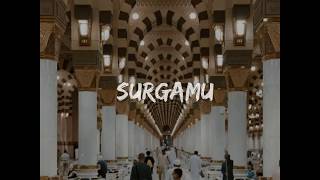Download lagu STORY WA SHOLAWAT TERBARU 30 DETIK mp3